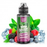 Big Bottle - Mr. Mint - Sweet Berries - 10 Aroma -...
