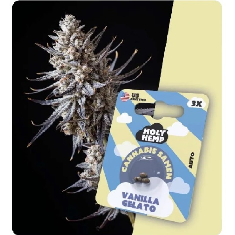 Holy Hemp Cannabis Samen - Vanilla Gelato (3 Stüc...