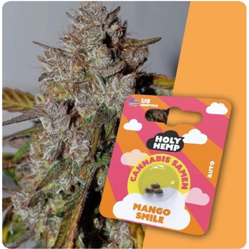 Holy Hemp Cannabis Samen - Mango Smile (3 Stück) ...