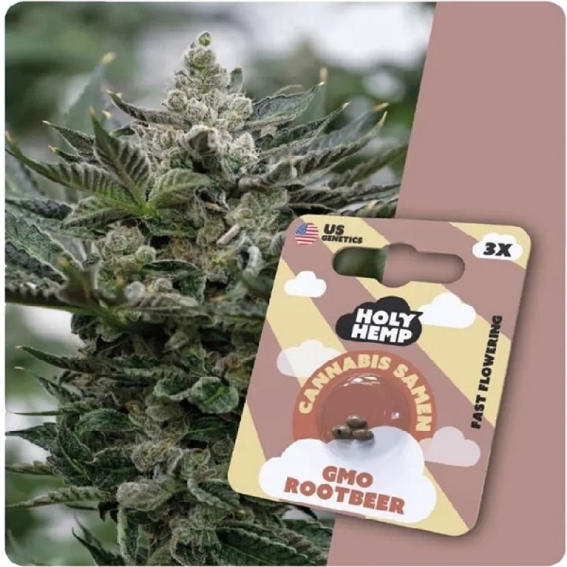 Holy Hemp Cannabis Samen - GMO Rootbeer (3 Stück)...