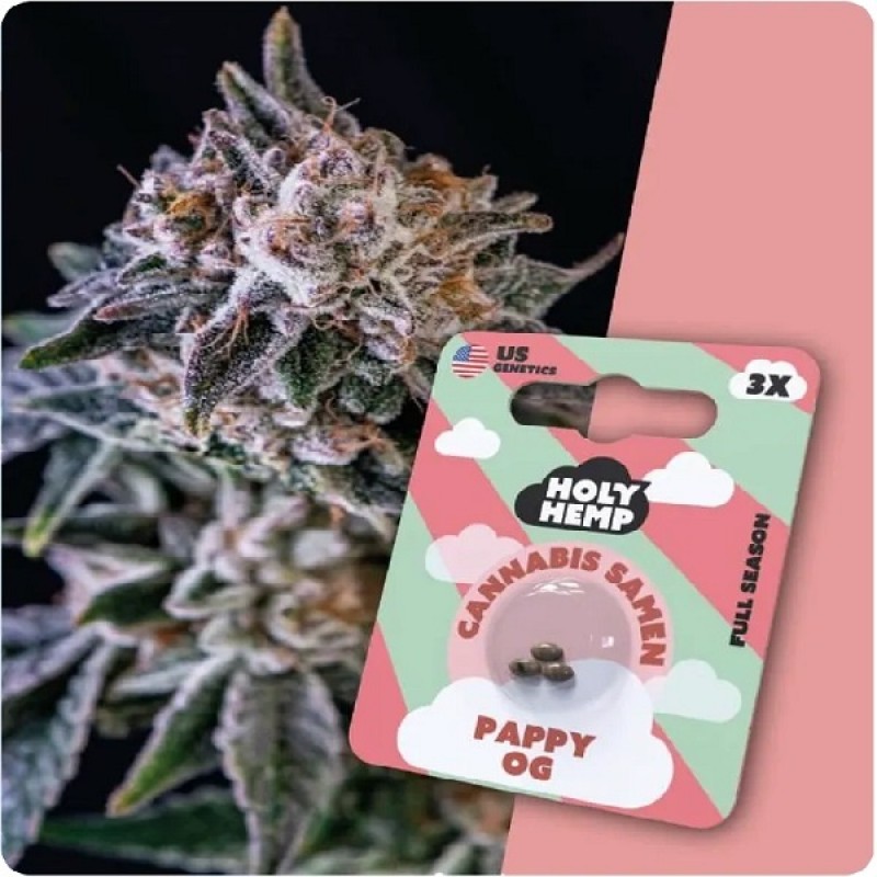 Holy Hemp Cannabis Samen - Pappy OG (3 Stück) - M...