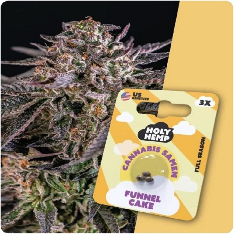 Holy Hemp Cannabis Samen - Funnel Cake (3 Stück) ...