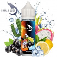 Gangjuice - Hayat - Limited Edition - 10 ml Aroma ...